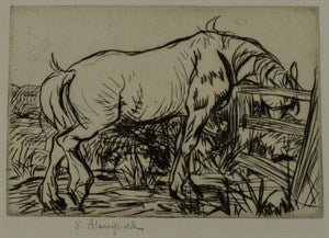 Image description is not available for DU1947.101